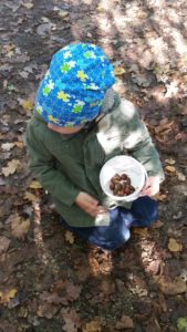 Herbstspaziergang zum Laub und Kastaniensammeln