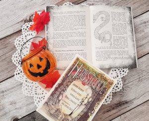 Herbstlande Buch + Reisejournal von den Autoren Fabienne Siegmund, Stephanie Kempin, Vanessa Kaiser und Thomas Lohwasser - Illustrationen von Jana Damaris Rech - erschienen im Verlag Torsten Low