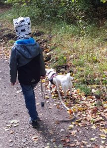 Finn und der stoerende Hund beim Waldspaziergang